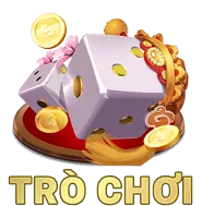Biểu tượng kiểm soát dữ liệu người dùng
